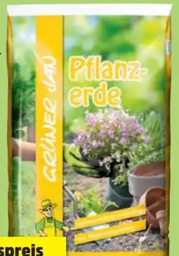Thomas Philipps Grüner Jan Pflanzerde Angebot