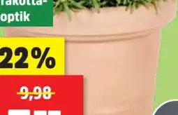 Thomas Philipps Blumenkübel Pistoia Angebot
