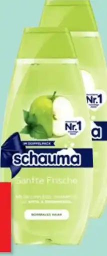 Thomas Philipps Schwarzkopf Schauma Shampoo Angebot