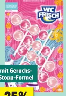 Thomas Philipps WC Frisch Kloroskop Angebot