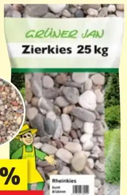 Thomas Philipps Grüner Jan Buntkies Angebot