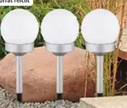 Segmüller Solar-Erdspitz Angebot