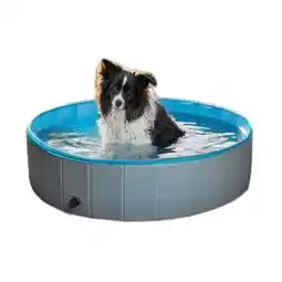 toom Baumarkt Hundepool Angebot
