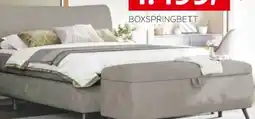 XXXLutz Esposa Boxspringbett Angebot