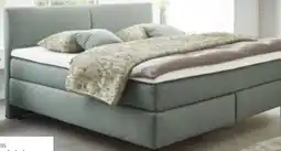 XXXLutz Beldomo Boxspringbett Miami - Bronze Angebot
