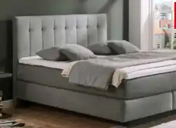 XXXLutz Beldomo Boxspringbett Miami Gold Angebot