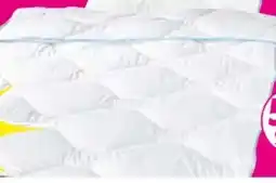 Möbel Boss Steppbett Hygiene Angebot
