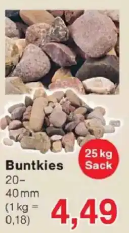 Jawoll Buntkies Angebot