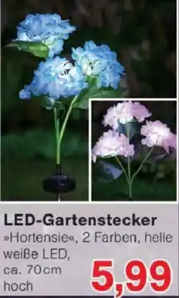 Jawoll LED-Gartenstecker Angebot