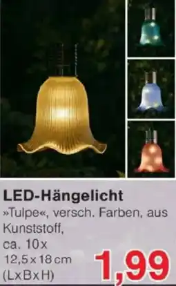 Jawoll LED-Hängelicht Angebot
