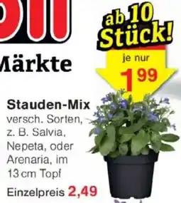 Jawoll Stauden-Mix Angebot
