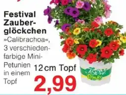 Jawoll Festival Zauberglöckchen Angebot