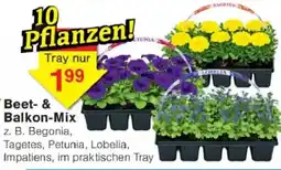 Jawoll Beet- & Balkon-Mix Angebot