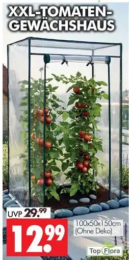 Wreesmann Topflora xxl-tomaten-gewächshaus Angebot