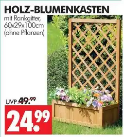 Wreesmann Holz-blumenkasten Angebot
