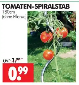 Wreesmann Tomaten-spiralstab Angebot