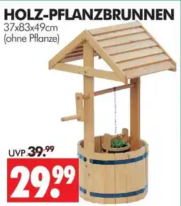 Wreesmann Holz-pflanzbrunnen Angebot