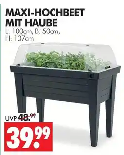 Wreesmann Maxi-hochbeet mit haube Angebot