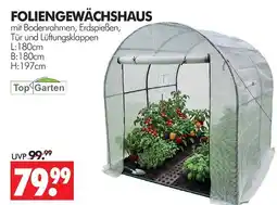 Wreesmann Top garten foliengewächshaus Angebot
