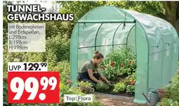Wreesmann Top flora tunnel-gewächshaus Angebot
