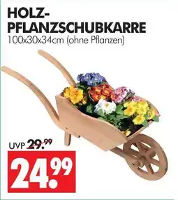 Wreesmann Holz-pflanzschubkarre Angebot