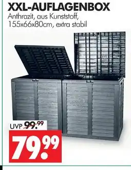 Wreesmann Xxl-auflagenbox Angebot