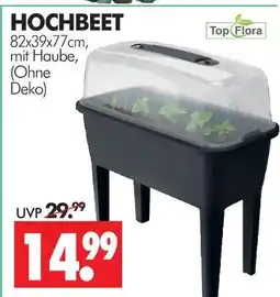 Wreesmann Top flora hochbeet Angebot