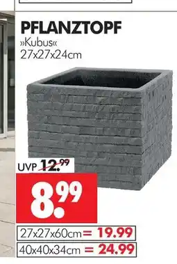 Wreesmann Pflanztopf kubus Angebot
