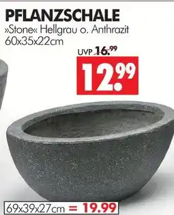 Wreesmann Pflanzschale stone Angebot