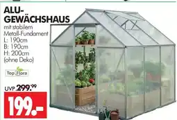 Wreesmann Top flora alu-gewächshaus Angebot