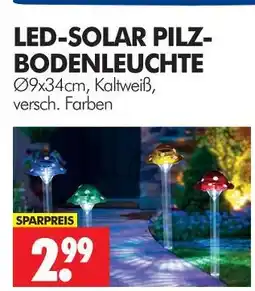 Wreesmann Led-solar pilz-bodenleuchte Angebot