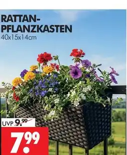 Wreesmann Rattan-pflanzkasten Angebot