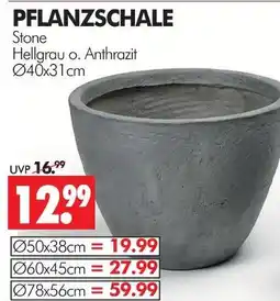 Wreesmann Stone pflanzschale Angebot