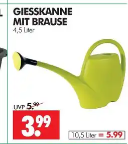 Wreesmann Giesskanne Angebot