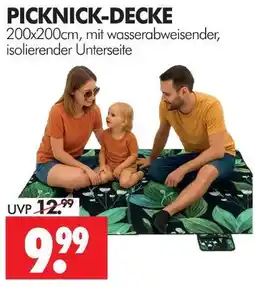 Wreesmann Picknick-decke Angebot