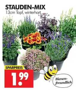 Wreesmann Stauden-mix Angebot
