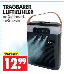 Wreesmann Tragbarer luftkühler Angebot