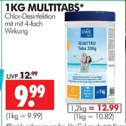 Wreesmann Well san chlor-desinfektion Angebot