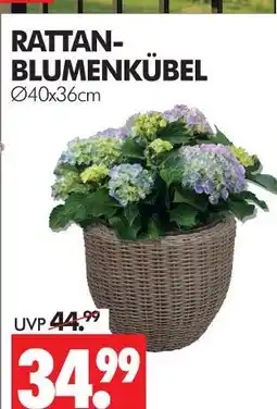Wreesmann Rattan-blumenkübel Angebot