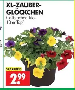 Wreesmann Xl-zauber-glöckchen Angebot