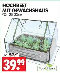 Wreesmann Top flora hochbeet mit gewächshaus Angebot
