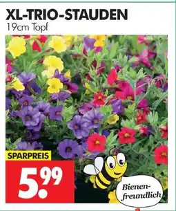 Wreesmann Xl-trio-stauden Angebot