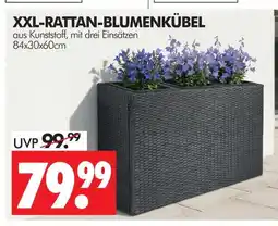 Wreesmann Xxl-rattan-blumenkübel Angebot
