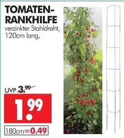 Wreesmann Tomaten-rankhilfe Angebot