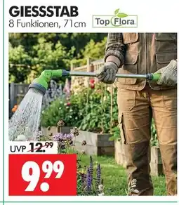 Wreesmann Topflora gießstab Angebot