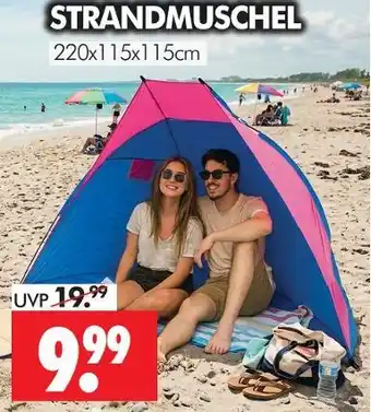 Wreesmann Strandmuschel Angebot