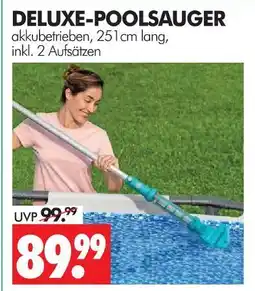Wreesmann Deluxe-poolsauger Angebot