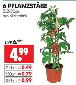 Wreesmann Pflanzstäbe Angebot