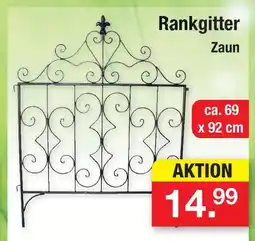 Zimmermann Rankgitter zaun Angebot