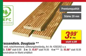 Terrassendiele douglasie